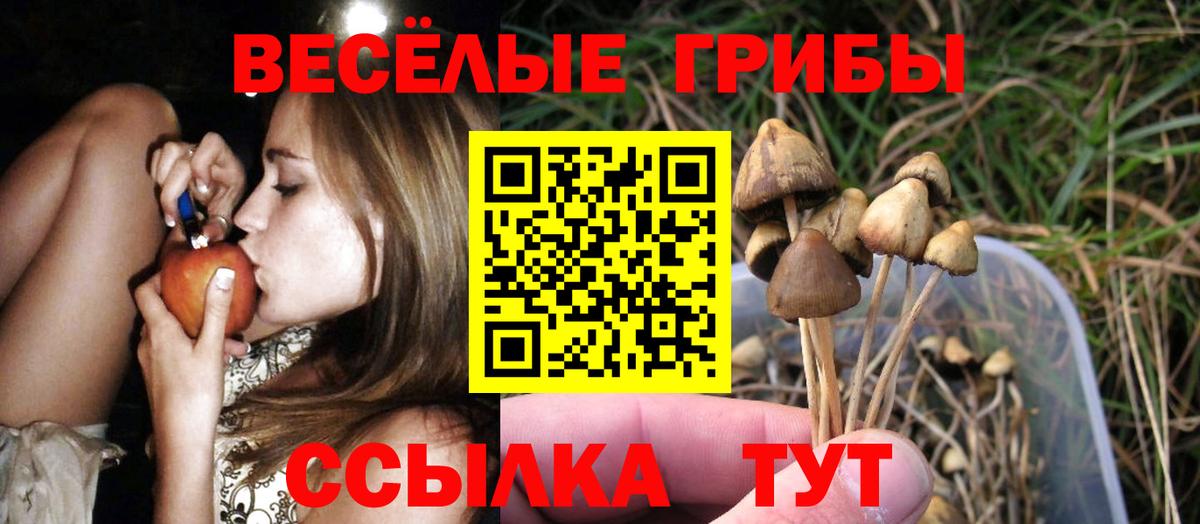 Югорск  Галлюциногенные грибы Psilocybe  Псилоцибиновые грибы Cubensis  Вход с VPN 